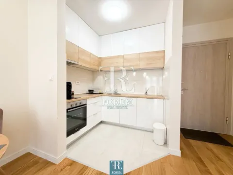 Izdavanje, jednosoban stan, 42m², Central Point, Podgorica - image 4