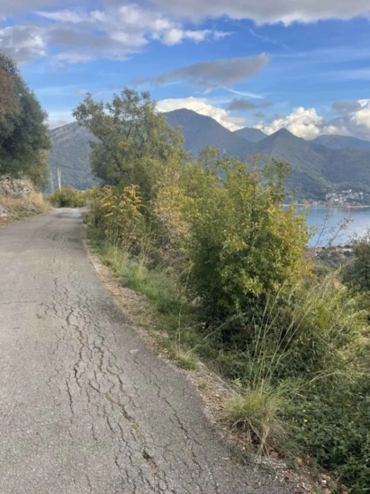 Prodaja, plac, 558m², Kamenari, Herceg Novi