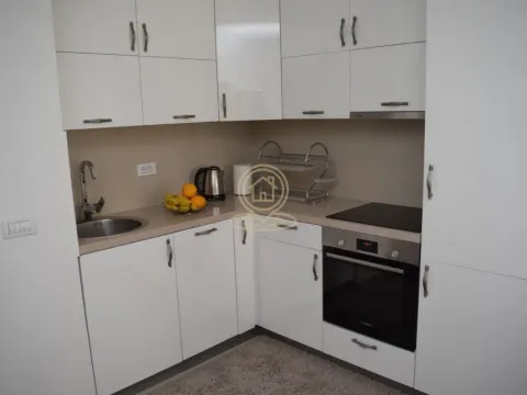 Rent, two bedroom apartment, 41m², Lion, Zvezdara Sve Podlokacije - image 11