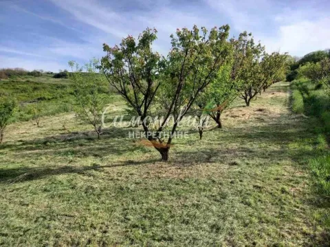 Prodaja, plac, 2100m², Novi Slankamen, Inđija - image 9