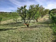 Sale, land lot, Novi Slankamen, Inđija - image 9