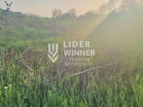 Prodaja, plac, 10000m², Jajinci, Voždovac Sve Podlokacije - image 2