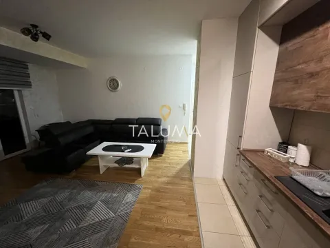 Izdavanje, jednosoban stan, 54m², Centar, Podgorica - image 4
