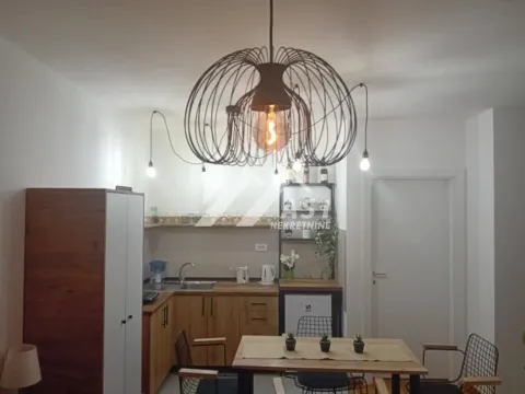 Izdavanje, jednosoban stan, 40m², Adice, Novi Sad Sve Podlokacije - image 5