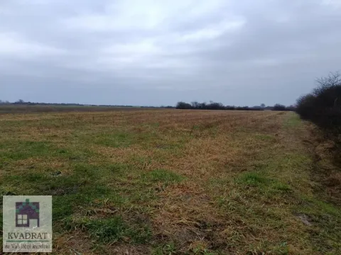 Prodaja, plac, 23500m², Obrenovac, Beograd - image 1