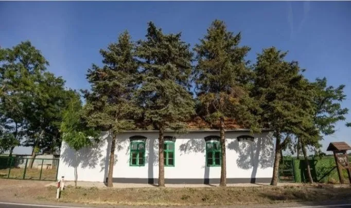 Prodaja, kuća, 500m², Srbobran, Novi Sad