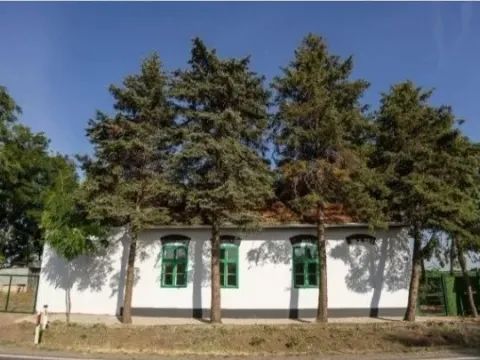 Prodaja, kuća, 500m², Srbobran, Novi Sad