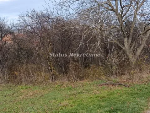 Zarasli deo dvorišta sa drvećem i rastinjem. - image 9