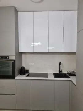 Izdavanje, jednosoban stan, 49m², Central Point, Podgorica - image 10