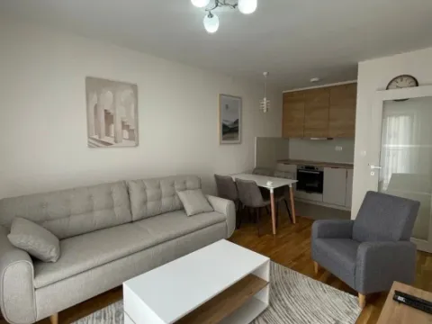 Izdavanje, jednosoban stan, 40m², Pobrežje, Podgorica - image 2