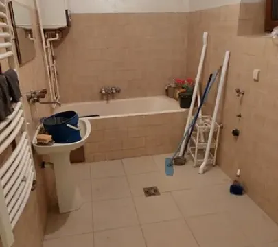 Sale, house, 411m², Stari Banovci, Stara Pazova - image 10