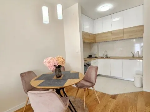 Izdavanje, jednosoban stan, 50m², Central Point, Podgorica - image 6