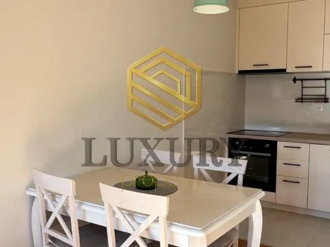 Prodaja, jednosoban stan, 49m², Central Point, Podgorica - image 2