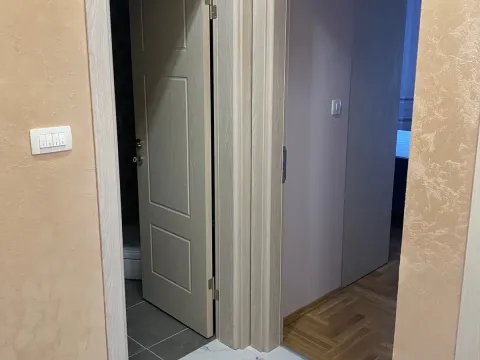 Rent, one bedroom apartment, 55m², Zabjelo, Podgorica - image 4