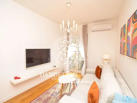 Izdavanje, jednosoban stan, 45m², Central Point, Podgorica - image 4