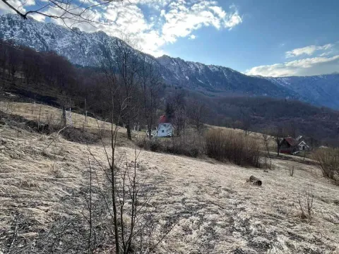 Prodaja, plac, 3500m², Nadgora, Žabljak - image 5