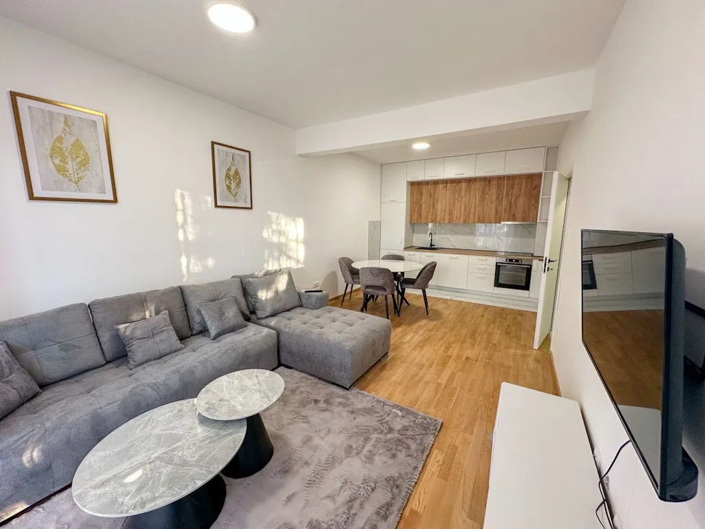 Rent, one bedroom apartment, 46m², Zabjelo, Podgorica