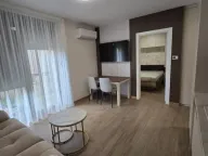 Izdavanje, jednosoban stan, 30m², Sremska Kamenica, Petrovaradin - image 8