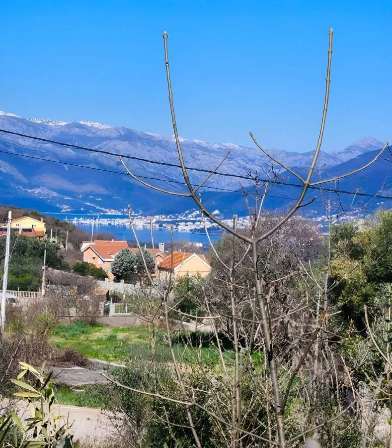 Prodaja, plac, 1557m², Lješevići, Kotor