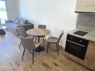 Rent, one bedroom apartment, 35m², Veternik, Novi Sad Sve Podlokacije