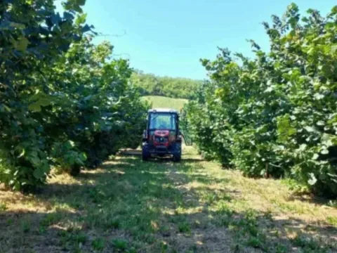 Sale, land lot, 37800m², Sremska Mitrovica, Srbija - image 6