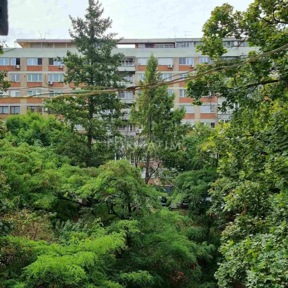 View of the green courtyard and neighboring building from the terrace or window.