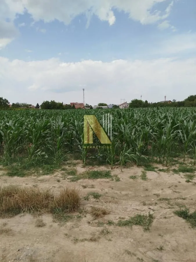 Prodaja, plac, 723m², Veternik, Novi Sad Sve Podlokacije