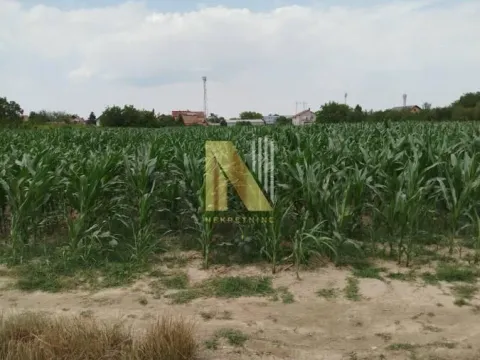 Prodaja, plac, 723m², Veternik, Novi Sad Sve Podlokacije - image 2