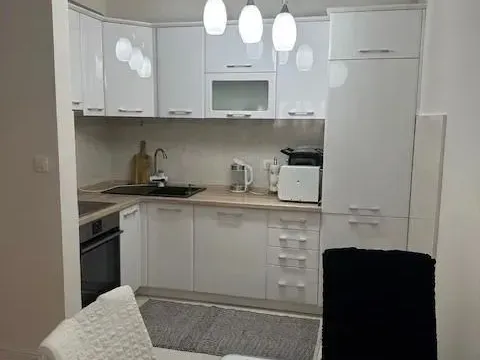 Izdavanje, jednosoban stan, 49m², Central Point, Podgorica - image 4