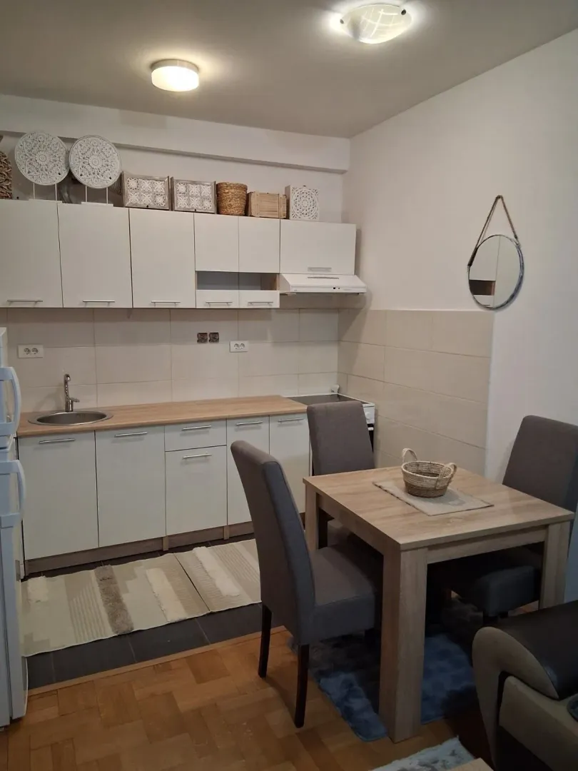Izdavanje, jednosoban stan, 45m², Stari Aerodrom, Podgorica