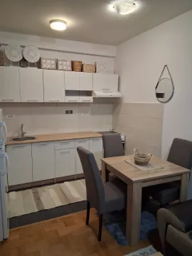 Izdavanje, jednosoban stan, 45m², Stari Aerodrom, Podgorica - image 4