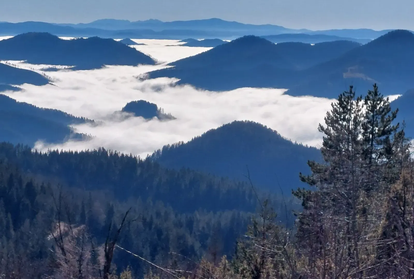 Prodaja, plac, 804m², Konjska Reka, Bajina Bašta