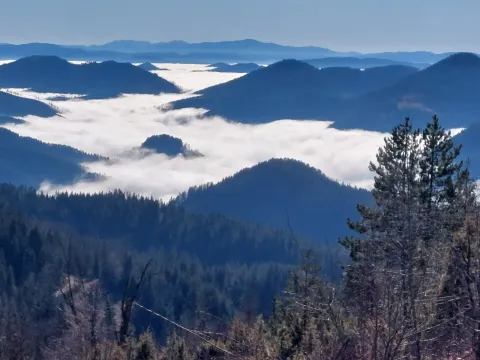Prodaja, plac, 804m², Konjska Reka, Bajina Bašta - image 2