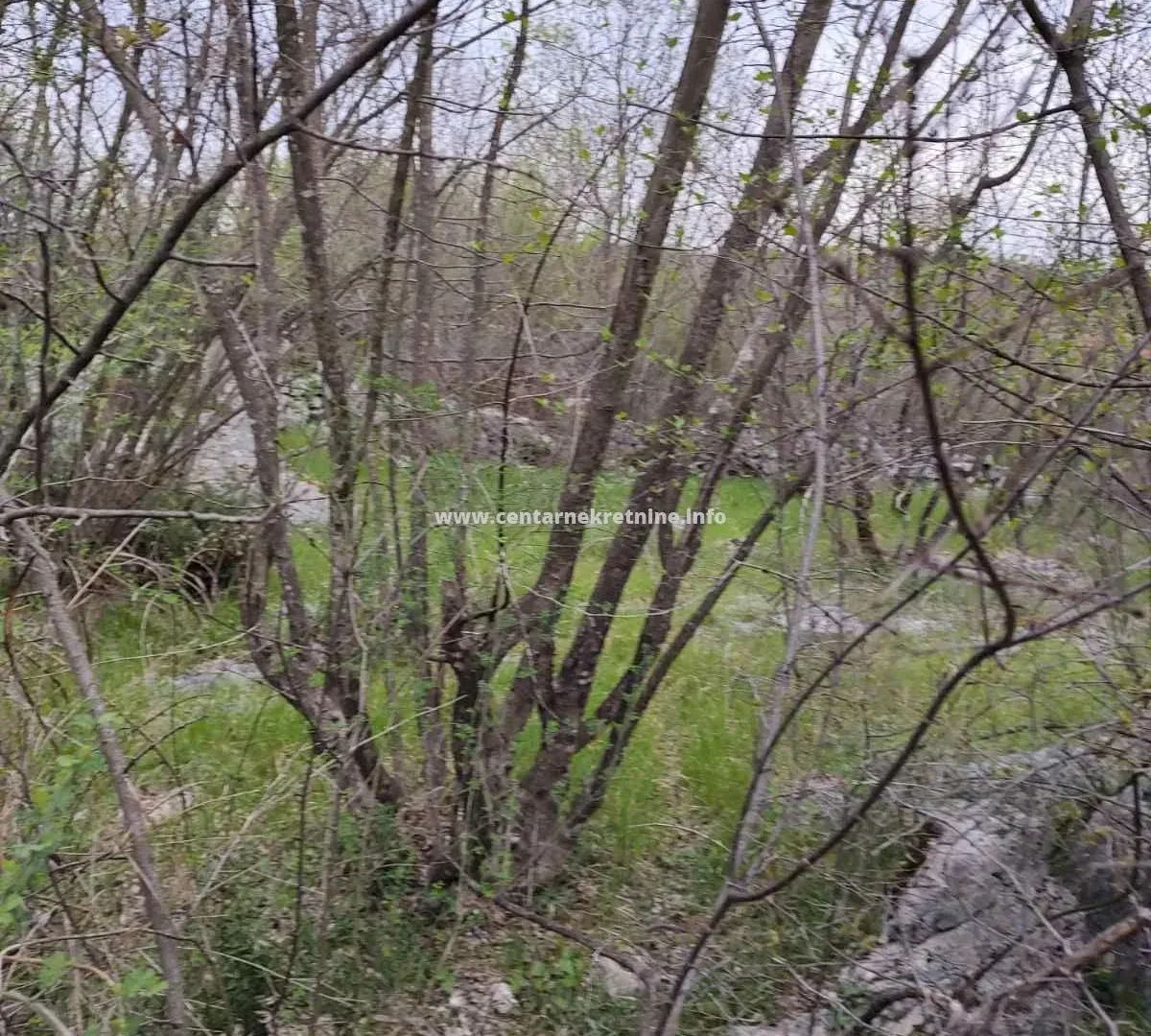 Prodaja, plac, 3200m², Donji Zagarač, Danilovgrad