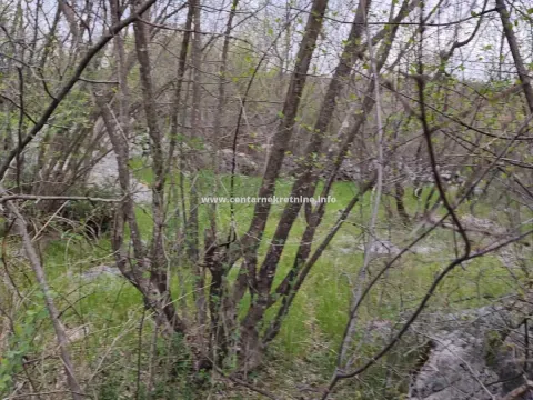 Prodaja, plac, 3200m², Donji Zagarač, Danilovgrad - image 2