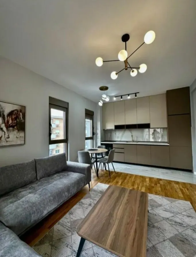 Rent, one bedroom apartment, 45m², Zabjelo, Podgorica