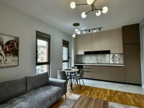 Rent, one bedroom apartment, 45m², Zabjelo, Podgorica