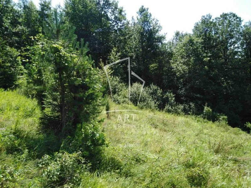 Prodaja, plac, 4500m², Bajina Bašta, Srbija
