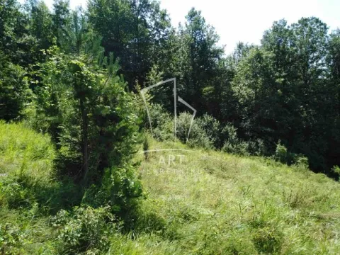 Prodaja, plac, 4500m², Bajina Bašta, Srbija - image 5