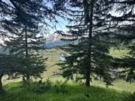 Prodaja, plac, 1330m², Žabljak, Crna Gora - image 3