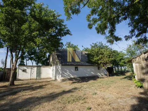 Prodaja, kuća, 275m², Srbobran, Novi Sad - image 6