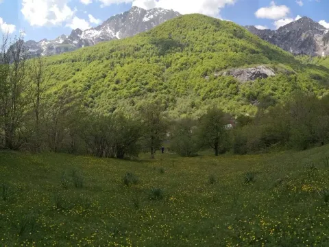 Prodaja, plac, 6569m², Gornje Lipovo, Kolašin - image 4
