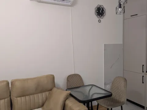 Stan-na-dan, jednosoban stan, 39m², Zabjelo, Podgorica - image 12