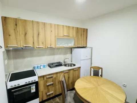 Izdavanje, jednosoban stan, 50m², Palilula, Niš - image 4