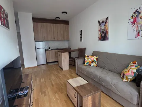 Izdavanje, stan, 37m², Zabjelo, Podgorica - image 9