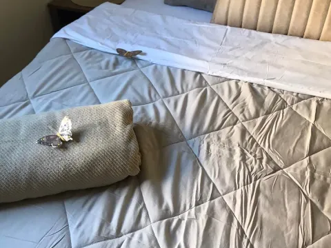 Stan-na-dan, jednosoban stan, 60m², Bonići, Tivat - image 11