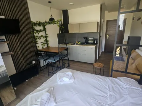 Prodaja, garsonjera, 25m², Kraljevi Čardaci, Kopaonik - image 7