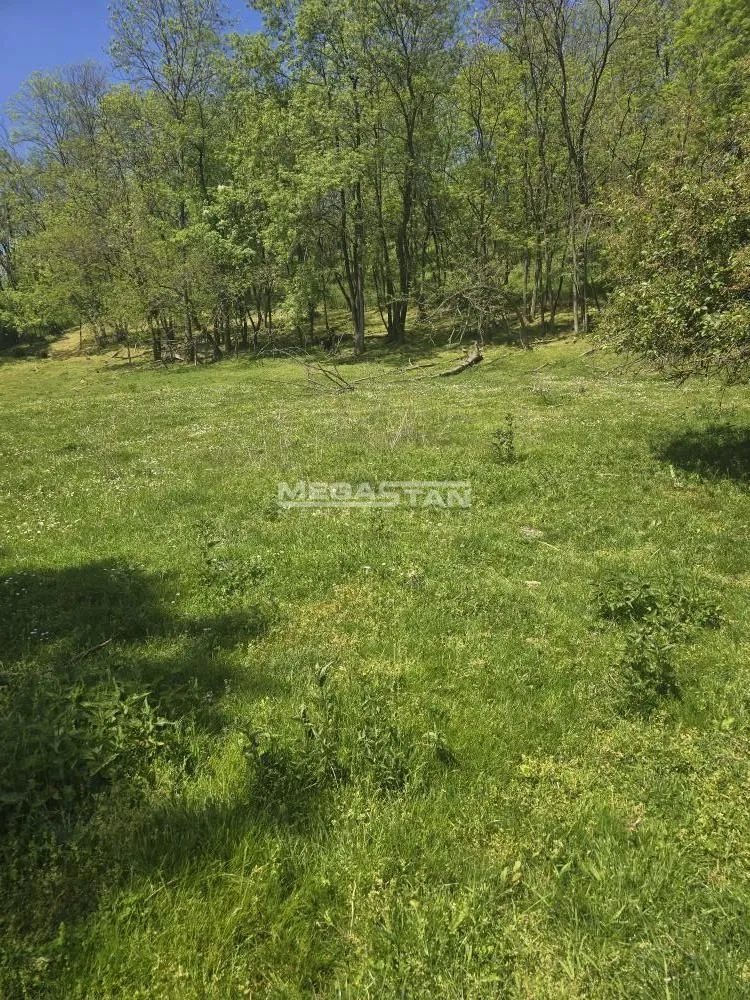 Prodaja, plac, 4244m², Mali Požarevac, Sopot