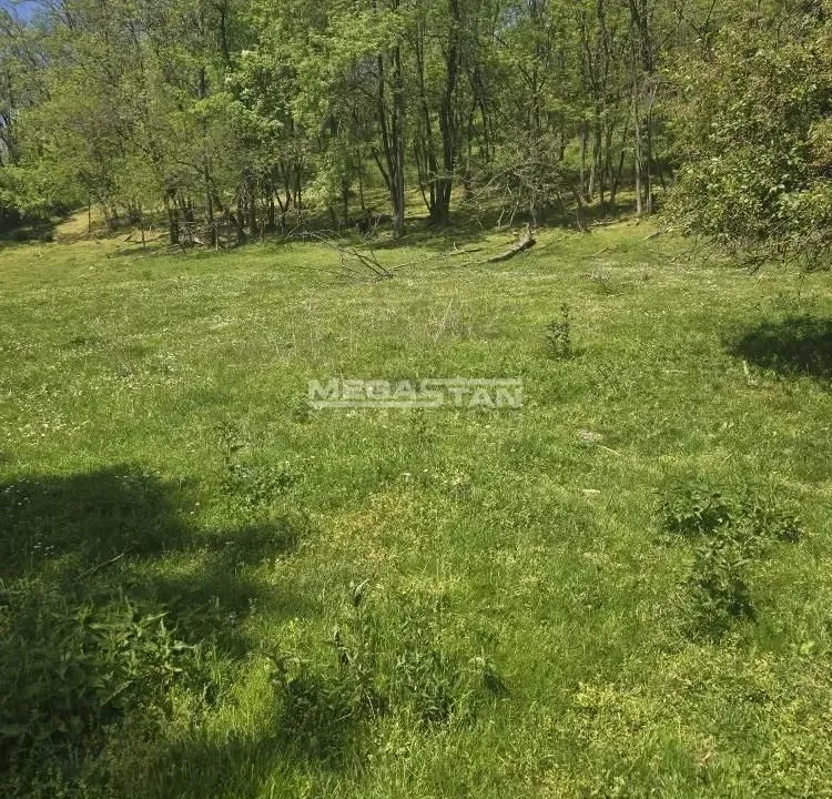 Sale, land lot, 4244m², Mali Požarevac, Sopot