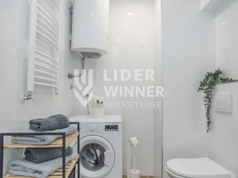 Izdavanje, dvosoban stan, 55m², Novi Beograd Sve Podlokacije, Beograd - image 11